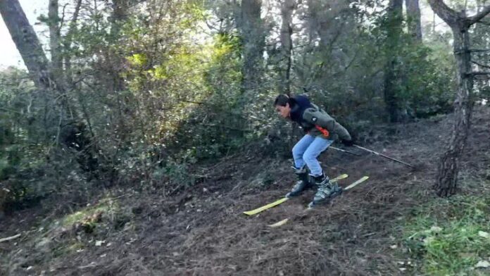 À Arcachon, pas besoin de neige grâce au ski sur aiguilles de pin