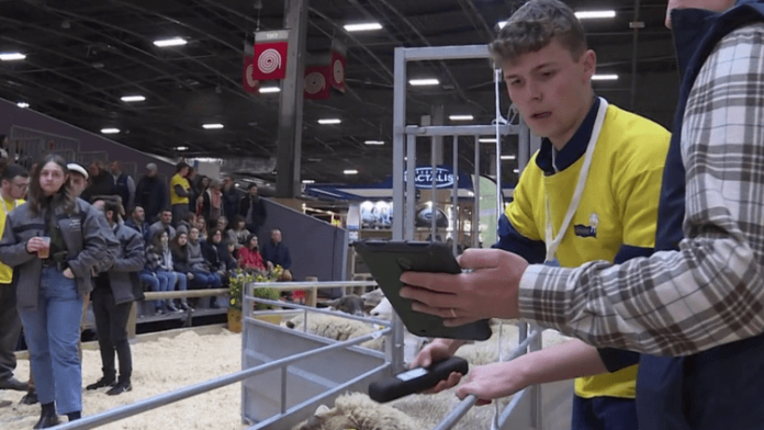 Salon de l’agriculture : le concours du meilleur berger de France est lancé