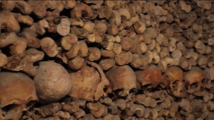 Catacombes : le plus mystérieux des cimetières parisiens