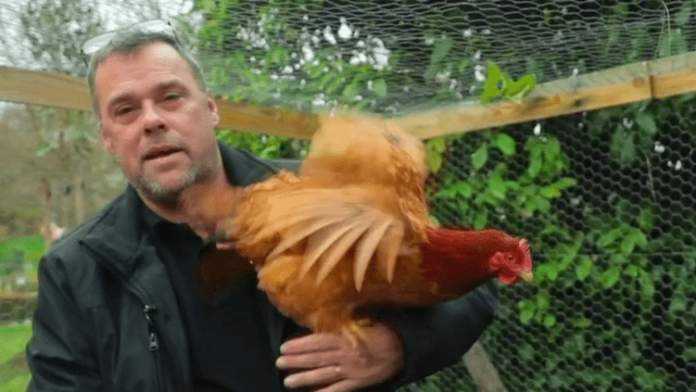 Logement : des gardiens d’immeuble d’un nouveau genre