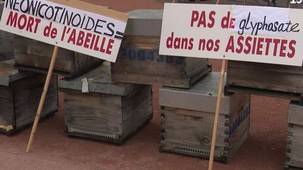 Mise en pause du plan Écophyto : les apiculteurs se mobilisent
