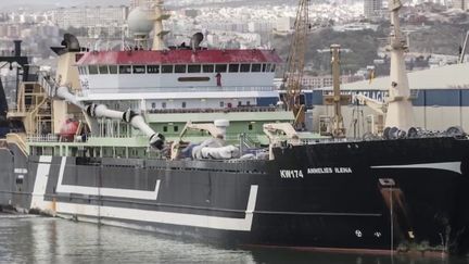 Bretagne : le navire-usine qui fait polémique
