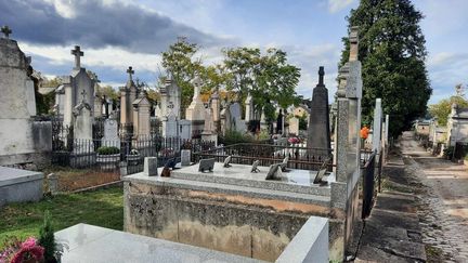 Vents violents : les parcs, cimetières et enceintes sportives fermés à Saint-Étienne