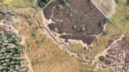Corrèze : à la découverte de la nature sauvage du plateau des Millevaches