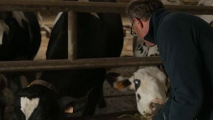 Supermarchés : produits étrangers et substances interdites, les agriculteurs sonnent l’alerte