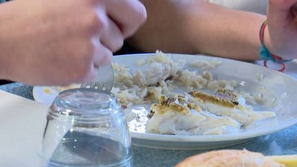 Pêche locale : du poisson breton à la cantine dans le Finistère