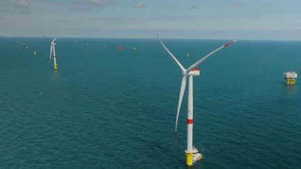 Normandie : De Fécamp à Ouistreham quand les éoliennes transforment la mer