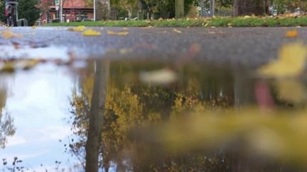 Automne à Strasbourg : les feuilles mortes, danger sur les pistes cyclables