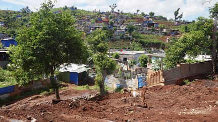 Budget 2026 : des parlementaires mahorais réclament un milliard d'euros pour aider à la reconstruction de Mayotte