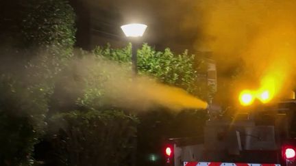 Épidémie de chikungunya : une opération de démoustication inédite après un 120e cas à Antibes