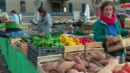 Agriculture : la Drôme, terre d'adoption de la patate douce française