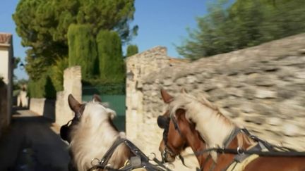 Gard : dans ce village, les enfants se rendent à l'école en calèche