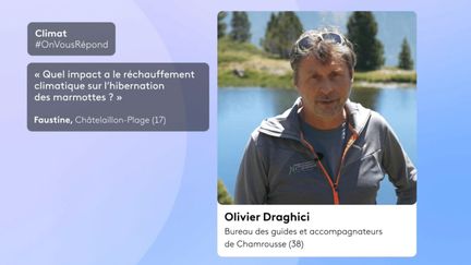 Quel est l'impact du réchauffement climatique sur les marmottes ? OnVousRépond Climat