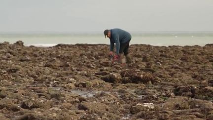 Grande marées : les sauveteurs très sollicités en Charente-Maritime