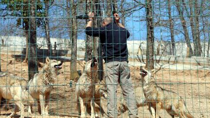24 animaux sauvages en souffrance évacués d'un ancien parc animalier de Montredon-Labessonnié, dans le Tarn