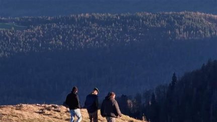 Mont d'Or : le toit du Doubs entre crêtes et panoramas