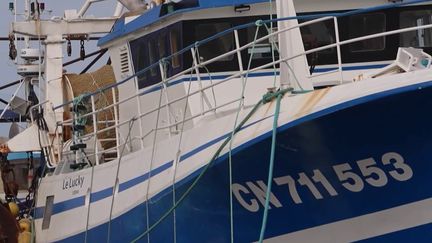 Narcotrafic : un numéro d'urgence mis à disposition des pêcheurs pour signaler les réseaux criminels dans les ports normands