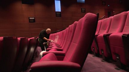 Punaises de lit : des piqûres en série à la cinémathèque de Paris