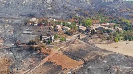 Incendies dans l'Aude : les viticulteurs attendent encore les aides