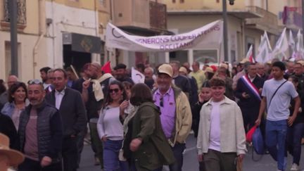 Hérault : des milliers de vignerons manifestent à Béziers, inquiets pour la survie de leurs exploitations