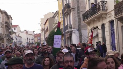 Hérault : des milliers de vignerons manifestent à Béziers, inquiets pour la survie de leurs exploitations