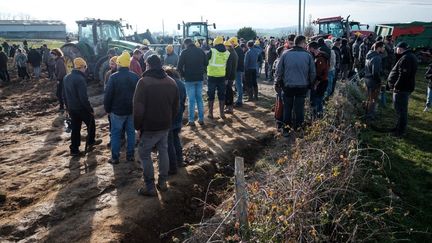DIRECT. Dermatose nodulaire : la région Occitanie va débloquer une aide d'urgence de 300 000 euros pour les agriculteurs touchés