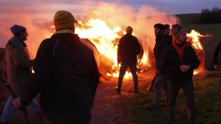 Dermatose nodulaire :