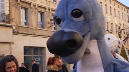 Vaucluse : magie et féerie à Carpentras