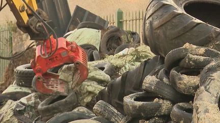 Dermatose nodulaire : les actions des agriculteurs coûtent cher aux collectivités