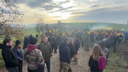 Dermatose nodulaire :