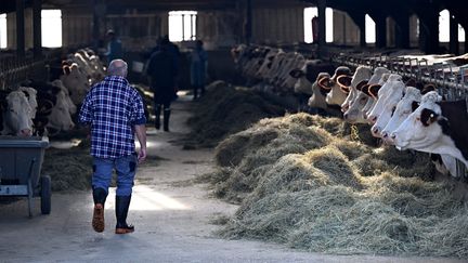 Dermatose nodulaire : des agriculteurs sont mobilisés sur une exploitation dans le Doubs pour empêcher l'abattage d'un troupeau