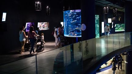 La justice demande au préfet de police de mettre fin aux soirées dansantes à l’Aquarium de Paris