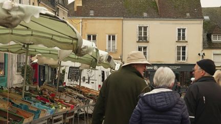 Balade en calèche, chinage d'antiquités et dégustation de boudin : découverte au cœur du Perche authentique