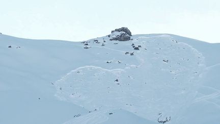 Avalanches : six morts en deux jours dans les Alpes