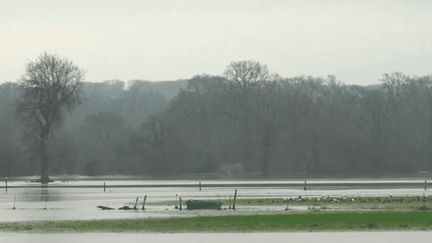 Inondations en Bretagne : matériel endommagé, champs noyés... Les agriculteurs durement touchés