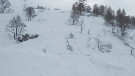 Avalanches dans les Alpes : alerte maximale, trois personnes sont mortes