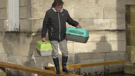 Privés d'électricité ou les pieds dans l'eau, les sinistrés de l'ouest de la France affrontent leur 37e jour de crue sans interruption