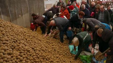 Pas-de-Calais : un producteur de pommes de terre préfère donner plutôt que jeter