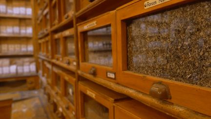 Herboristerie : le Père Blaize, une institution vieille de plus de 200 ans à Marseille