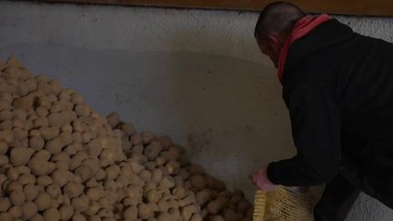 Pas-de-Calais : un agriculteur distribue gratuitement les pommes de terre qu'il n'a pas pu vendre