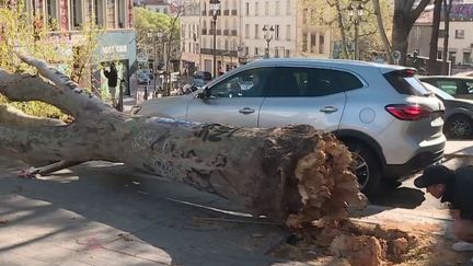 Plus de 150 km/h : le sud-est de la France balayé par des vents violents