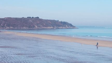 Bretagne : dans la baie de Saint-Brieuc, les promeneurs profitent des grandes marées tout en restant prudents