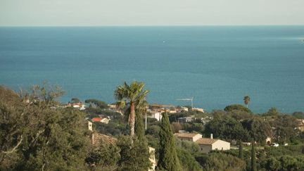 Dans le Var, l'élargissement du débroussaillement obligatoire suscite la colère des habitants