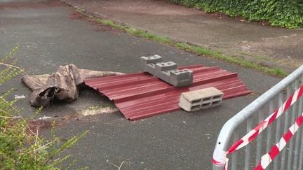 À Castelginest, les élèves retournent en classe malgré l’alerte au cobra