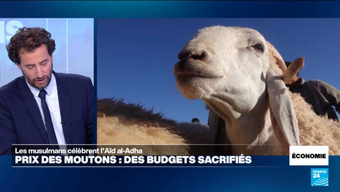 Aïd al-Adha : pourquoi le prix du mouton flambe dans plusieurs pays