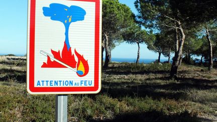 Feux de forêts : quatre départements du sud-est en orange pour un risque