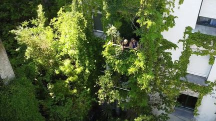 À Nantes, il a transformé sa cour d'immeuble en jungle, devenue un havre de paix pour les habitants