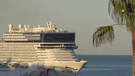 À Nice, le retour des géants des mers divise habitants et commerçants