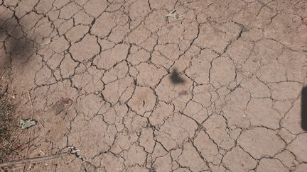 La région Occitanie lance une cartographie unique en Europe de ses milieux naturels pour mieux les préserver