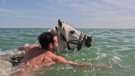 À Oléron, les baignades à cheval permettent de rafraîchir cavaliers et montures à la plage